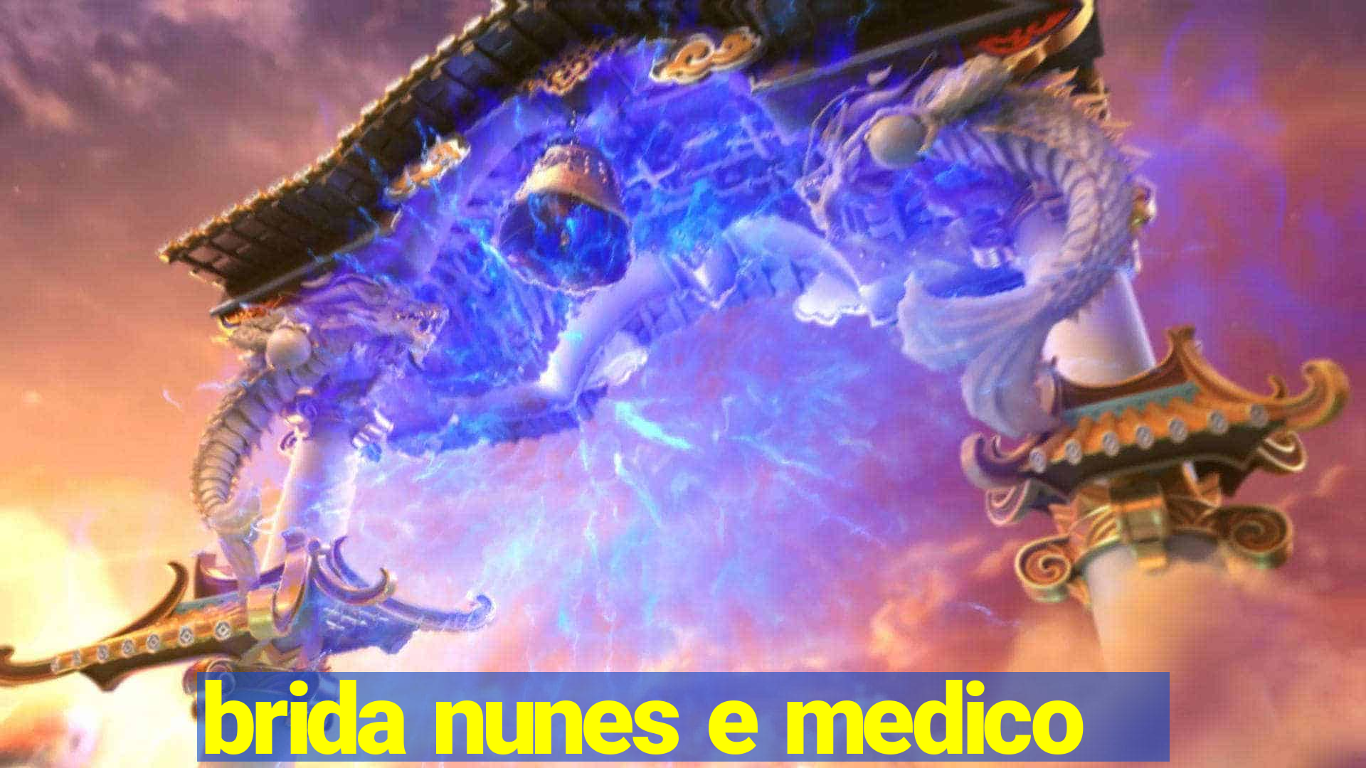 brida nunes e medico